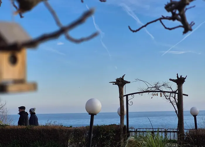 Pensiune Complex Maxim - Sea View And Free Parking